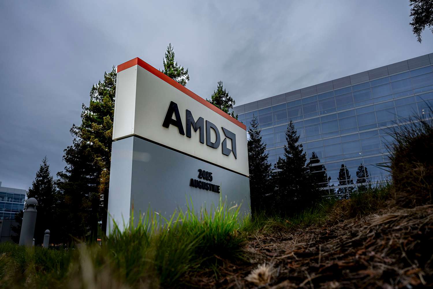 AMD，NVIDIA LEAD CHIP Stock Rally隨著半導體關稅的擔憂