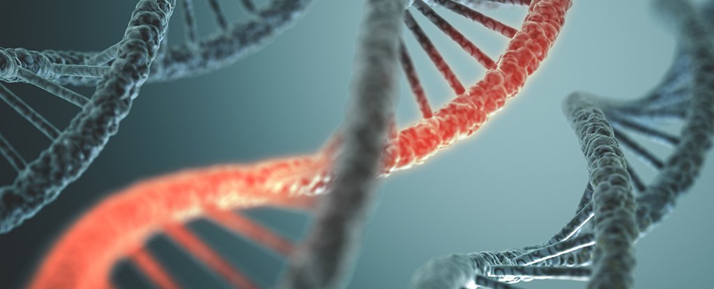 DNA 和 RNA 可能在地球上生命出现之前就已经存在