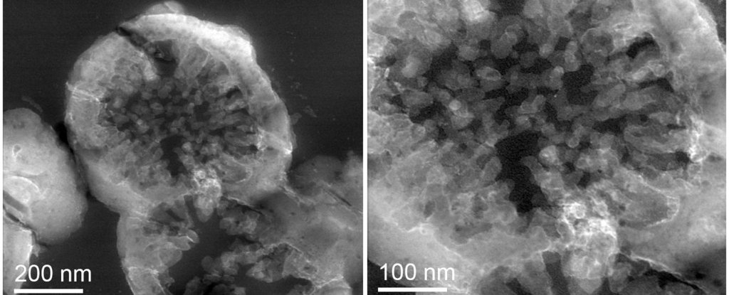 科学家们在火星上的实际岩石上培养了微生物