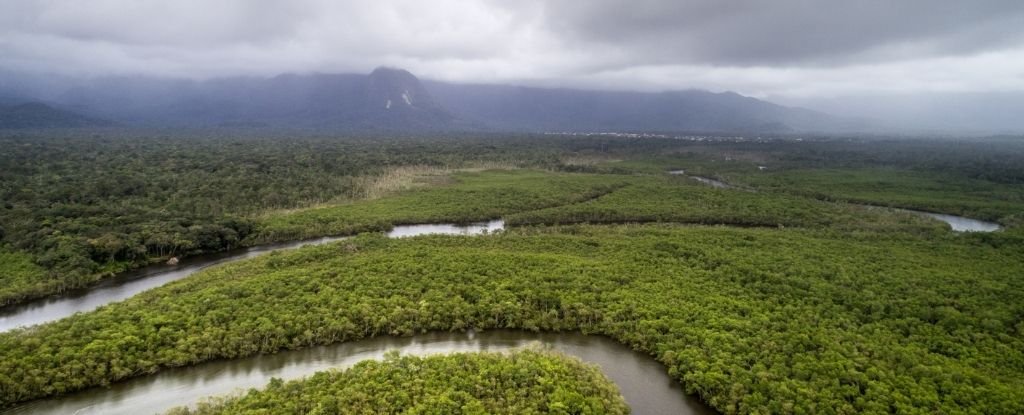 亚马逊地区二氧化碳浓度上升对降雨量的影响可能超过森林砍伐