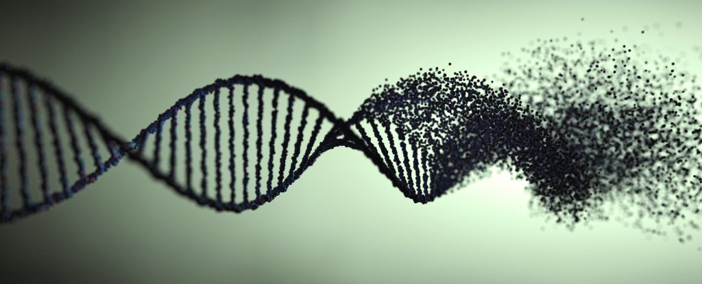 我们的基因组充满了“垃圾 DNA”，它们可能比我们意识到的更重要