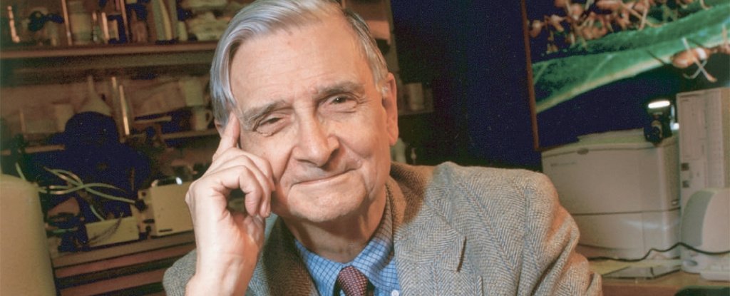 生物学家 EO Wilson 去世，享年 92 岁。他的遗产现在比以往任何时候都更加重要