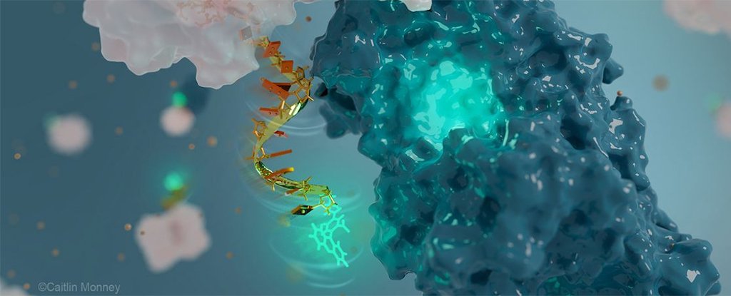 科学家打造出世界上最小的天线，它是由 DNA 制成的