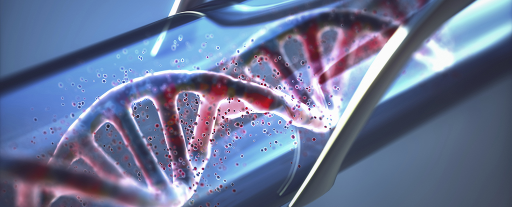 由 DNA 制成的液体计算机包含数十亿个电路