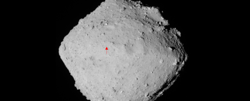 生命的种子？ 从小行星 Ryugu 采集的样本含有彗星粒子的痕迹