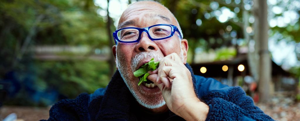 嘴裡的微生物可能會影響您認知能力下降的風險