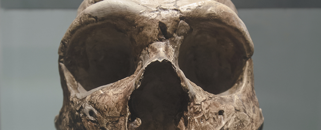 การสูญพันธุ์ของ Neanderthal เชื่อมโยงกับวิกฤตการณ์ทางพันธุกรรมเมื่อ 100,000 ปีก่อน