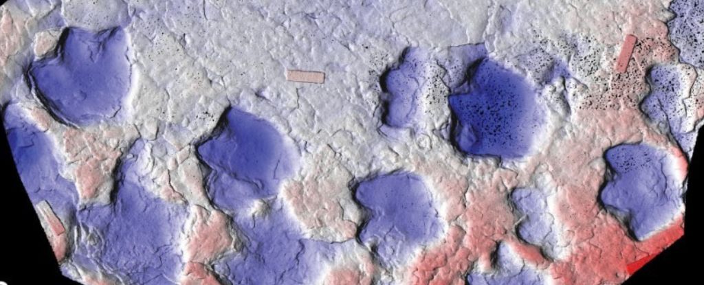 在加拿大，神秘的三趾足跡揭示了新的尾甲龍