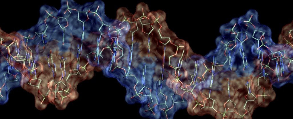 神秘的新“Borg”DNA 似乎可以吸收不同生物体的基因