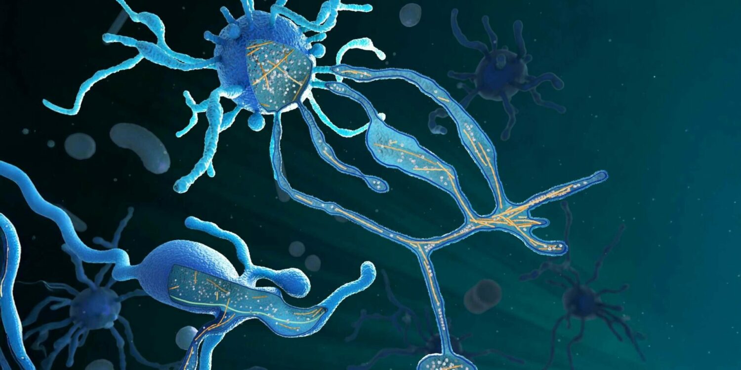 生命的起源：一組特殊的單細胞生物如何為複雜細胞奠定基礎