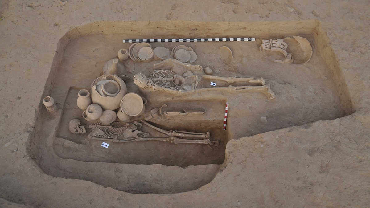 古代歐洲人在農業誕生之初發生了什麼樣的變化