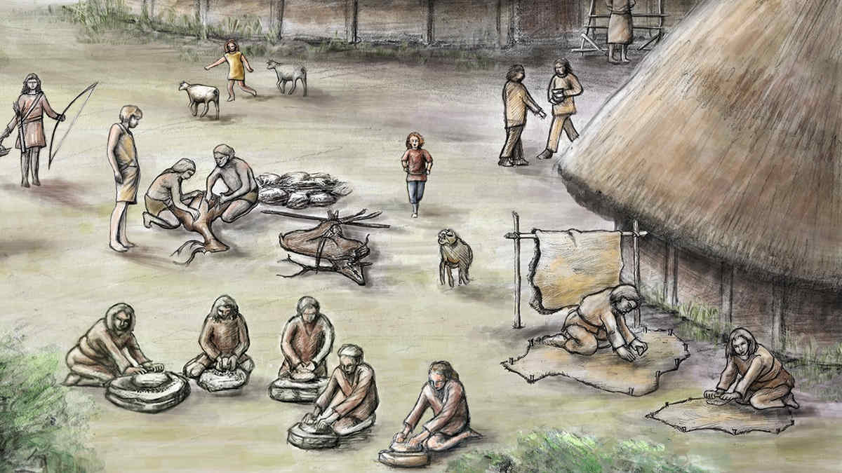 5000 年前，斯堪的納維亞半島南部的第一批農民吃什麼？