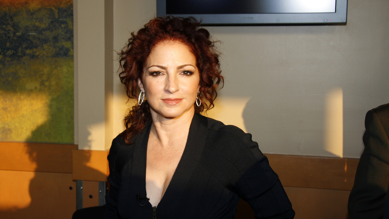 恐怖事故格洛里亞·埃斯特凡（Gloria Estefan）在巡迴演出時經歷了