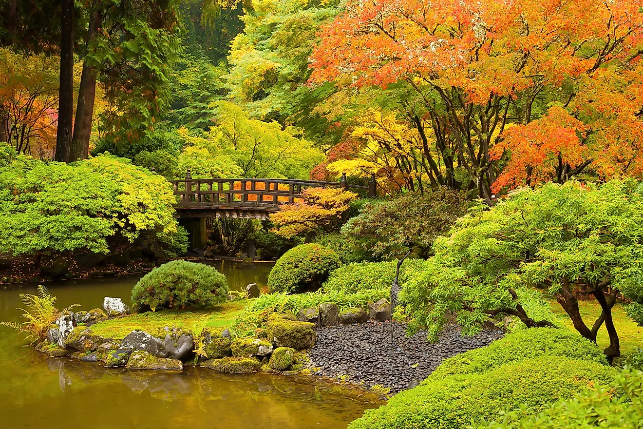 สวนในเมืองที่สวยงามที่สุดและพื้นที่สีเขียวในเมืองของสหรัฐอเมริกา