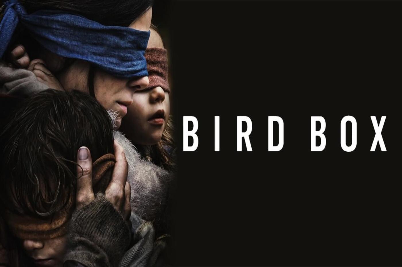 Bird Box：4500万浏览量那又怎样？