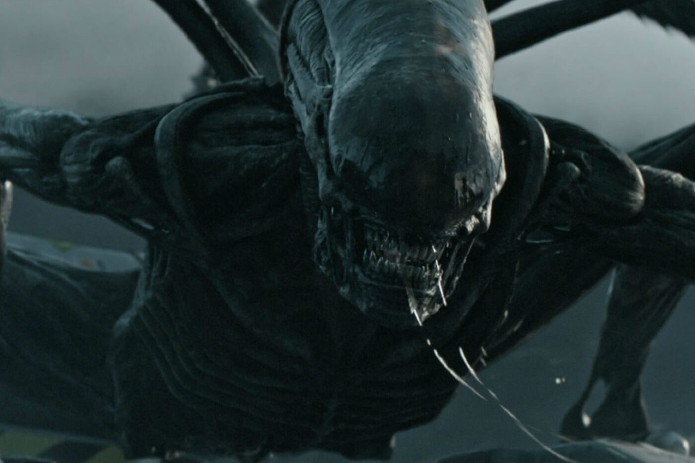 ริดลีย์ สก็อตต์ ยังไม่ยอมแพ้กับภาพยนตร์ Alien เรื่องอื่น