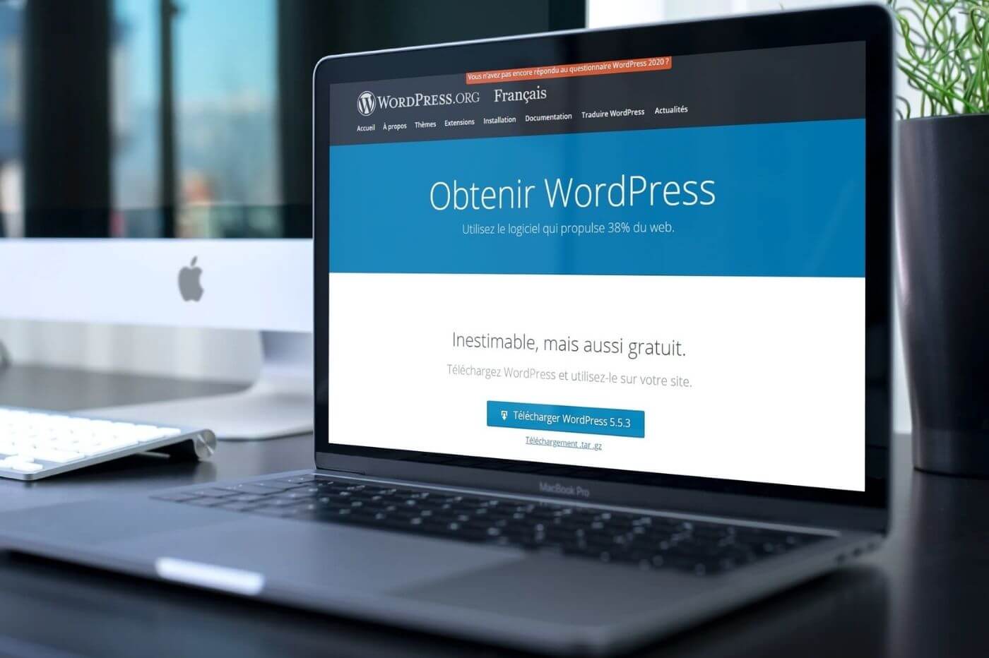 WordPress 评论：CMS 领导者的真正价值是什么？