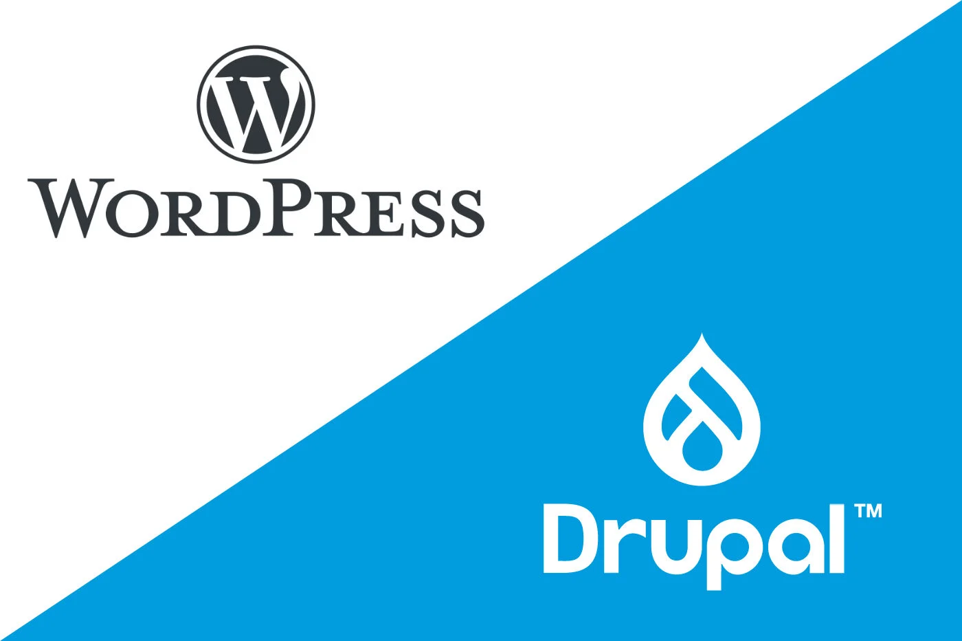 WordPress 或 Drupal：两种 CMS 的详细比较