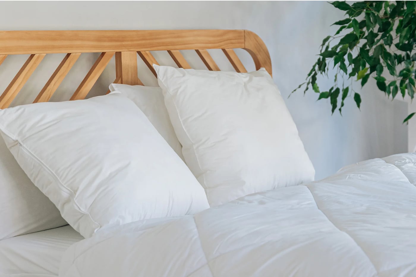 Hypnia 枕头 (2024):从该系列中选择哪种型号?