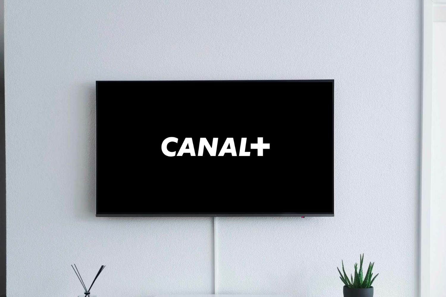 IPTV: เขาขายการสมัครสมาชิกต่อที่ 50 ยูโร/ปี Canal+ พบเขาอีกครั้ง