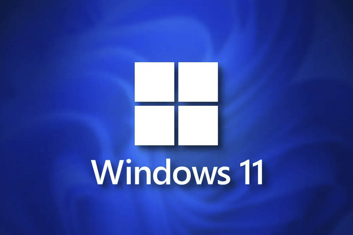 哪里可以下载 Windows 11 官方照片？