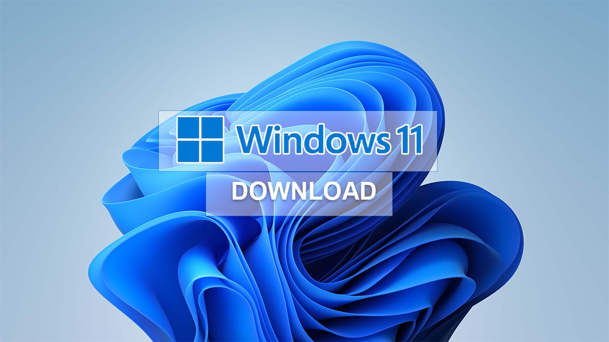 下载Windows 11 ISO文件64位：（直接下载24H2）