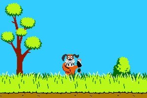 Duck Hunt: นักล่าที่รู้วิธีการยิง