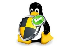 5 個 Linux 發行版可保護您免受所有危險