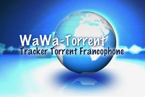 下载：Wawa-torrent 创作者需被判处缓刑