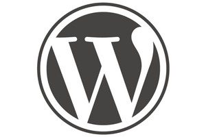 WordPress 中的漏洞导致数百万博客易受攻击