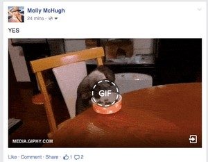 唷，Facebook 終於接受動畫 GIF 了！