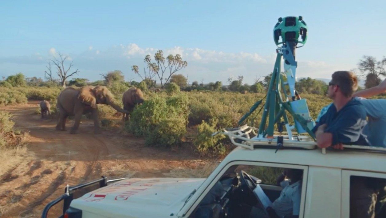 Google Street View สำรวจช้างเคนยา