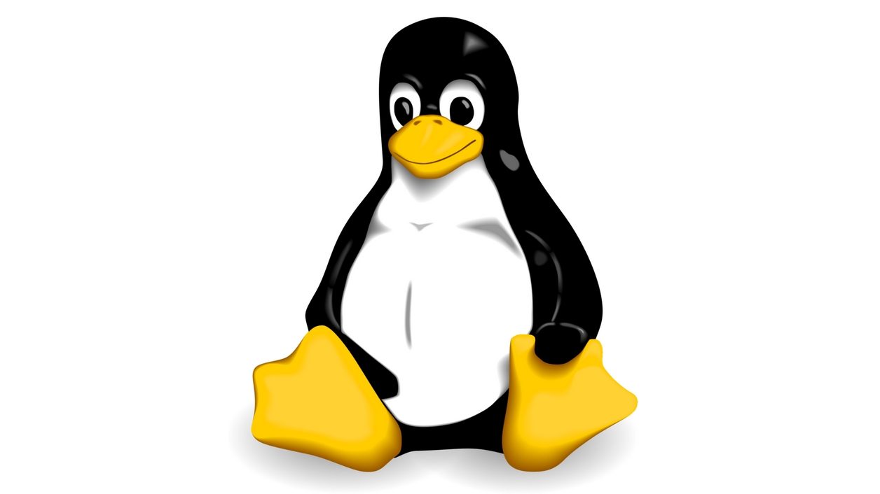 Linux 中的严重缺陷允许远程机器黑客攻击