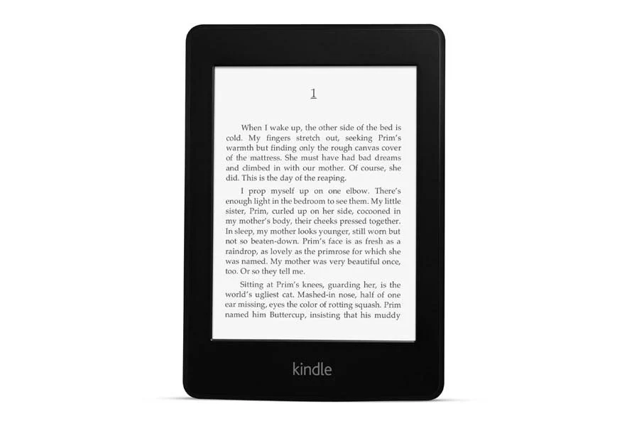 技术表 亚马逊Kindle Paperwhite 2013