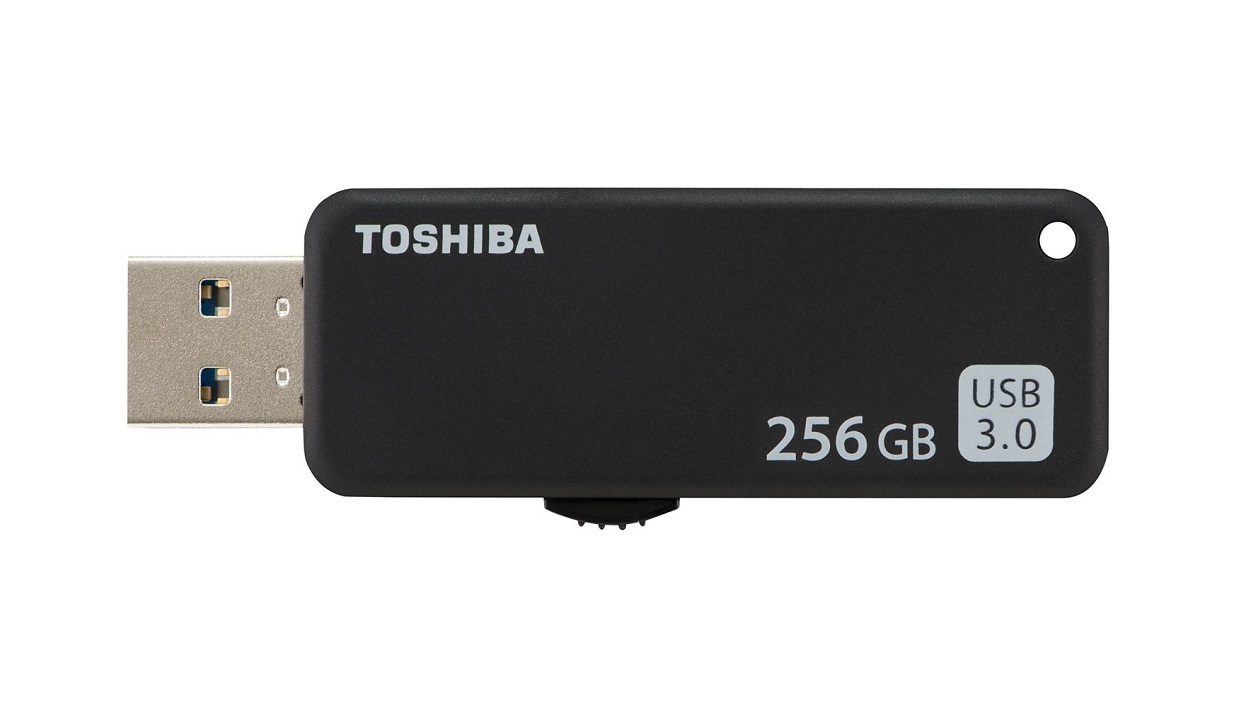 东芝 TransMemory U365 256 Go 对比 IStorage DatAshur SD 512 Go