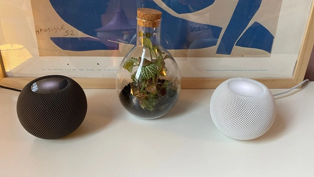 苹果 HomePod mini 与亚马逊 Echo Show 10