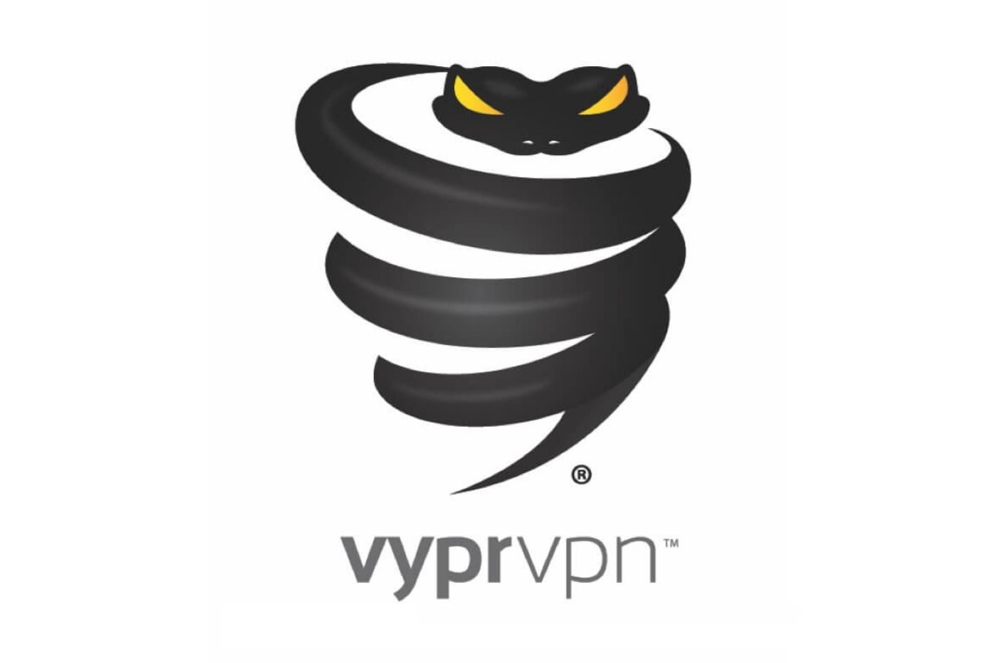 VyprVPN 测试（2024）：我们为您提供对此 VPN 的客观评价