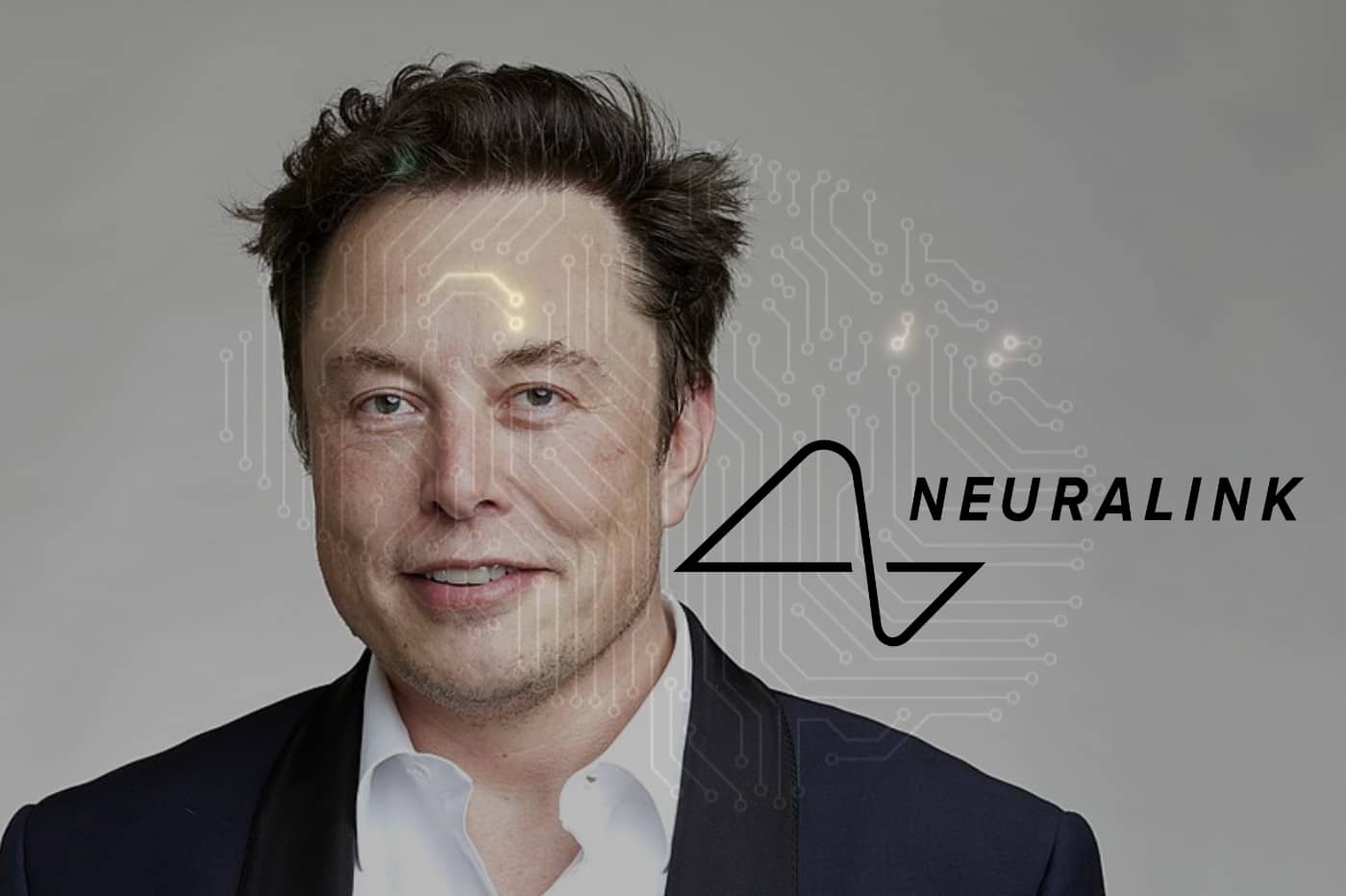 Neuralink：伊隆馬斯克希望在六個月內對人類進行首次大腦植入測試