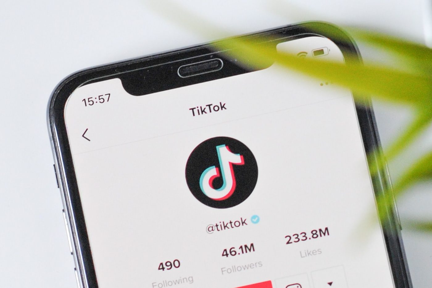 TikTok 熱衷於廣告：搜尋引擎中的廣告