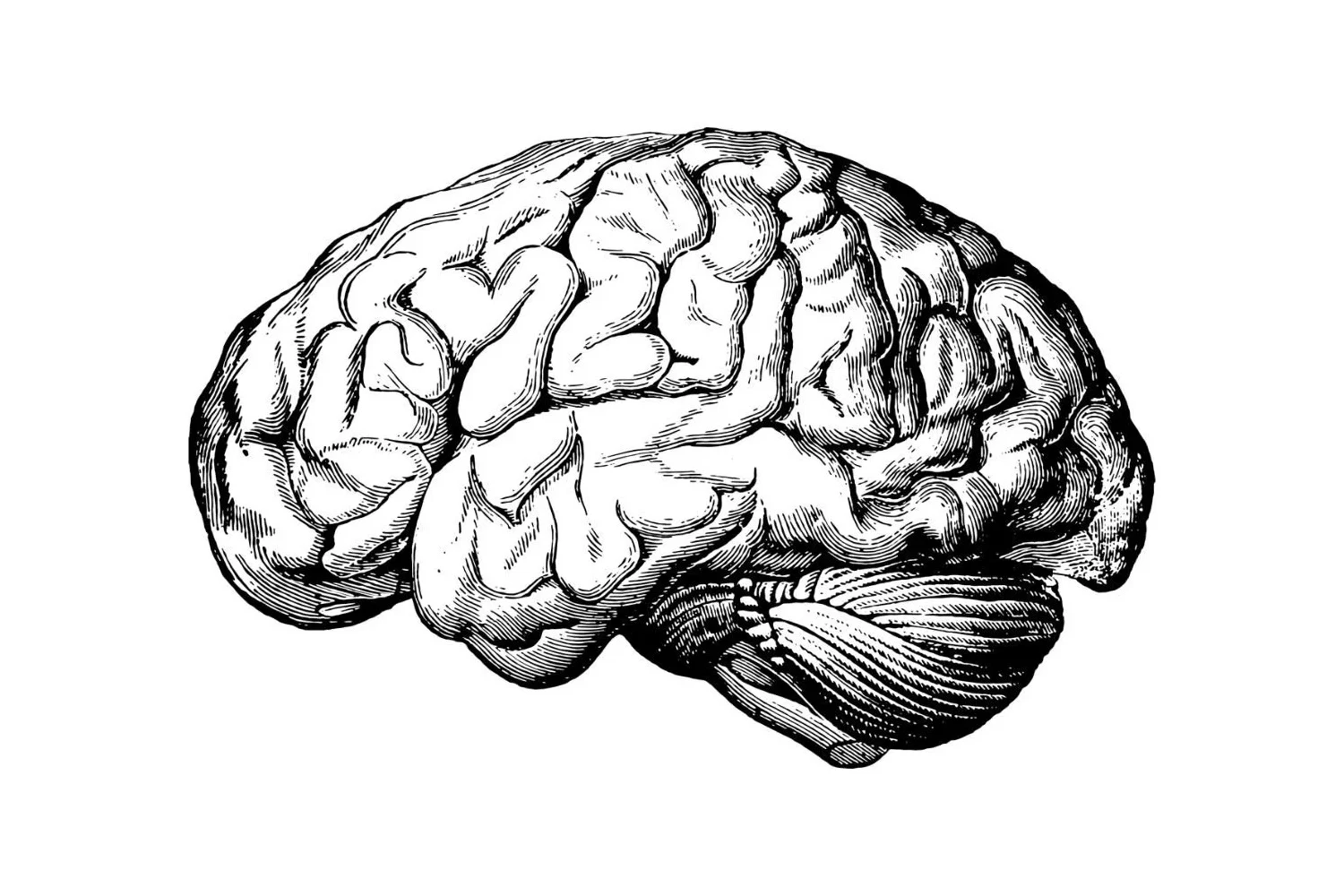 第三个国家接受 Neuralink 植入人体