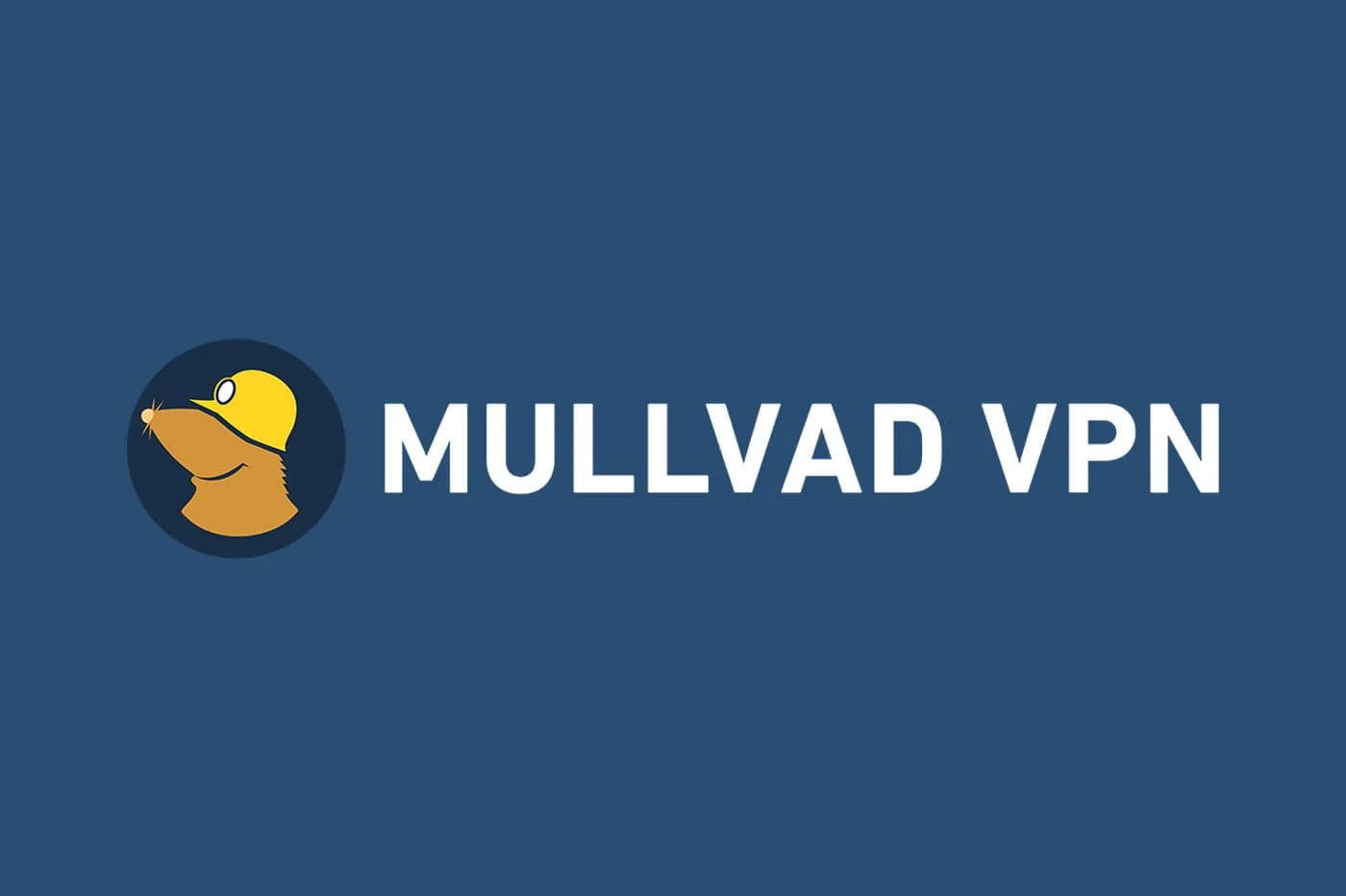 รีวิว Mullvad VPN: ป้อมปราการแห่งความไม่เปิดเผยตัวตน [ตรวจสอบในปี 2024]