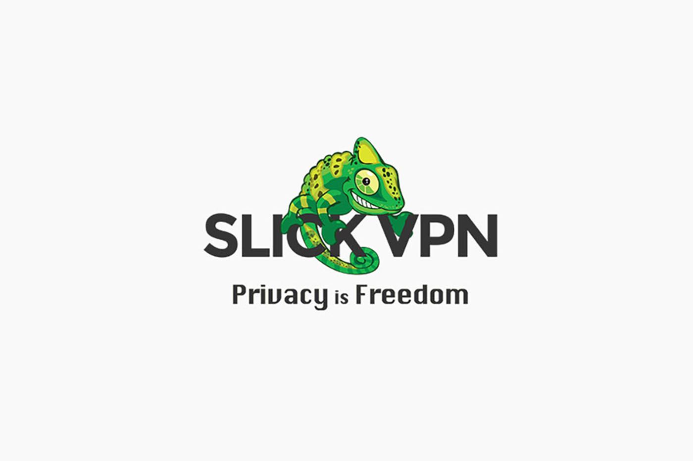 SlickVPN 評論：它會讓你失望！