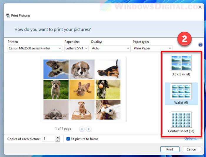 windows-11